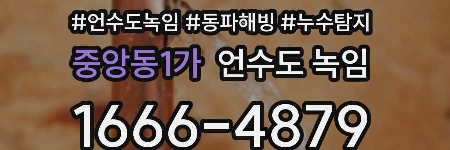 중앙동1가 언수도 녹임