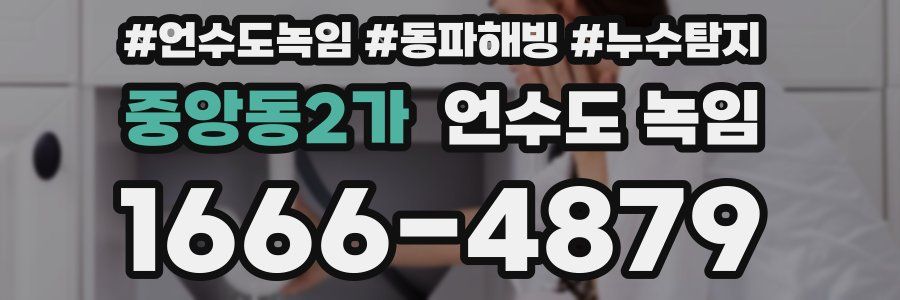 중앙동2가 언수도 녹임