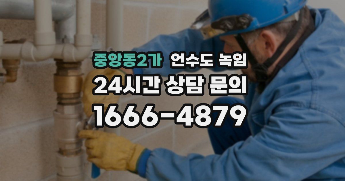 중앙동2가 언수도 녹임