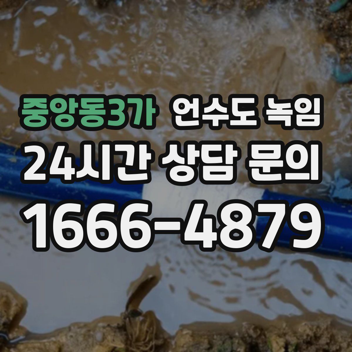 중앙동3가 언수도 녹임