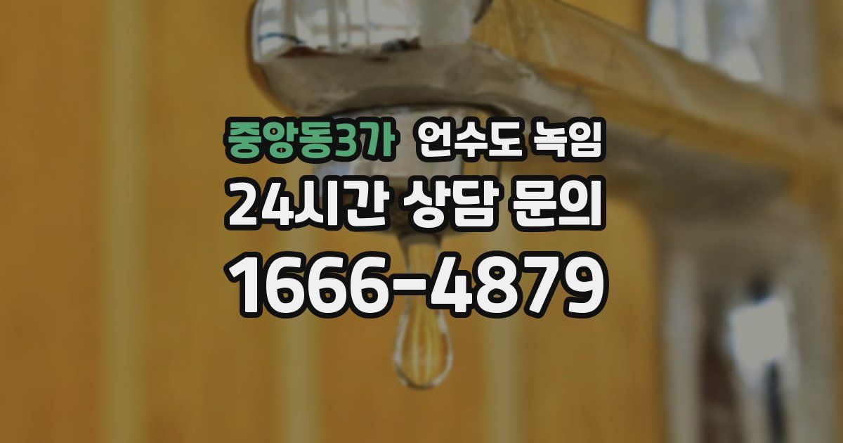 중앙동3가 언수도 녹임