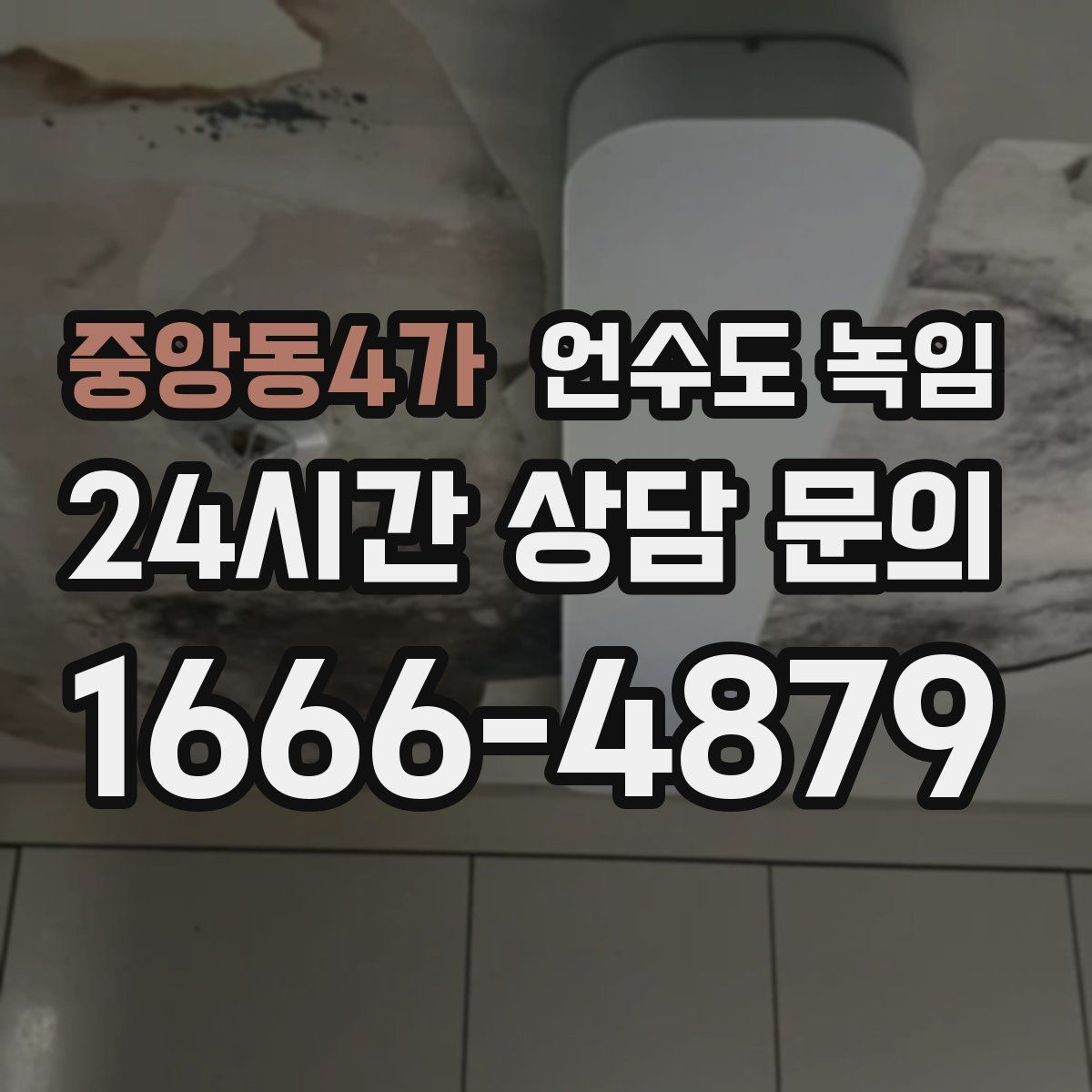 중앙동4가 언수도 녹임