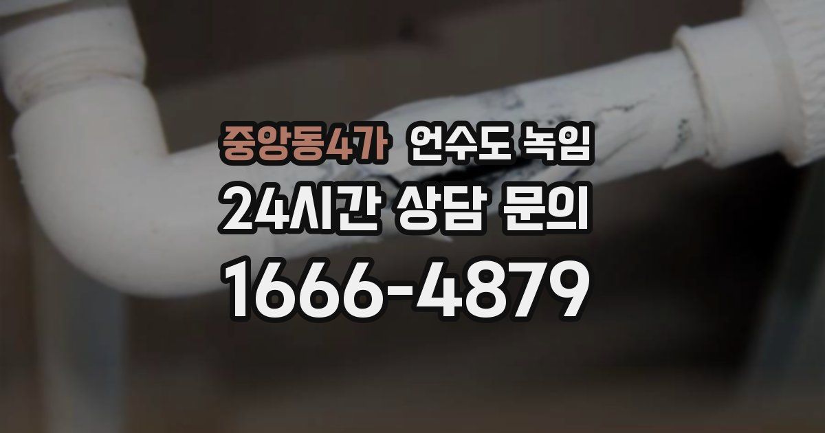 중앙동4가 언수도 녹임