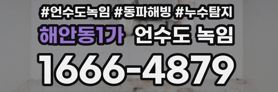 해안동1가 언수도 녹임