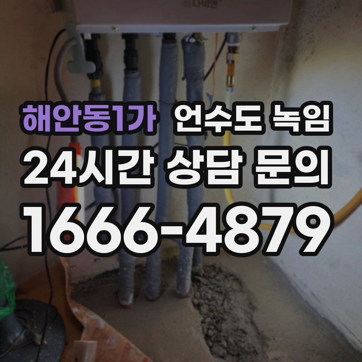 해안동1가 언수도 녹임