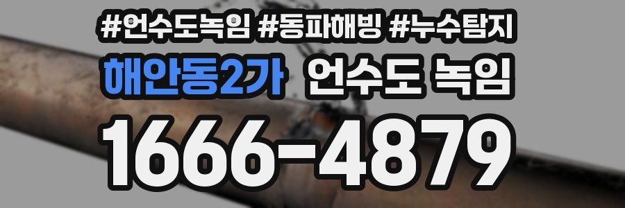 해안동2가 언수도 녹임