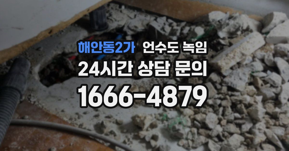 해안동2가 언수도 녹임