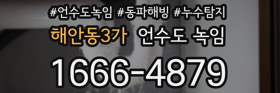 해안동3가 언수도 녹임