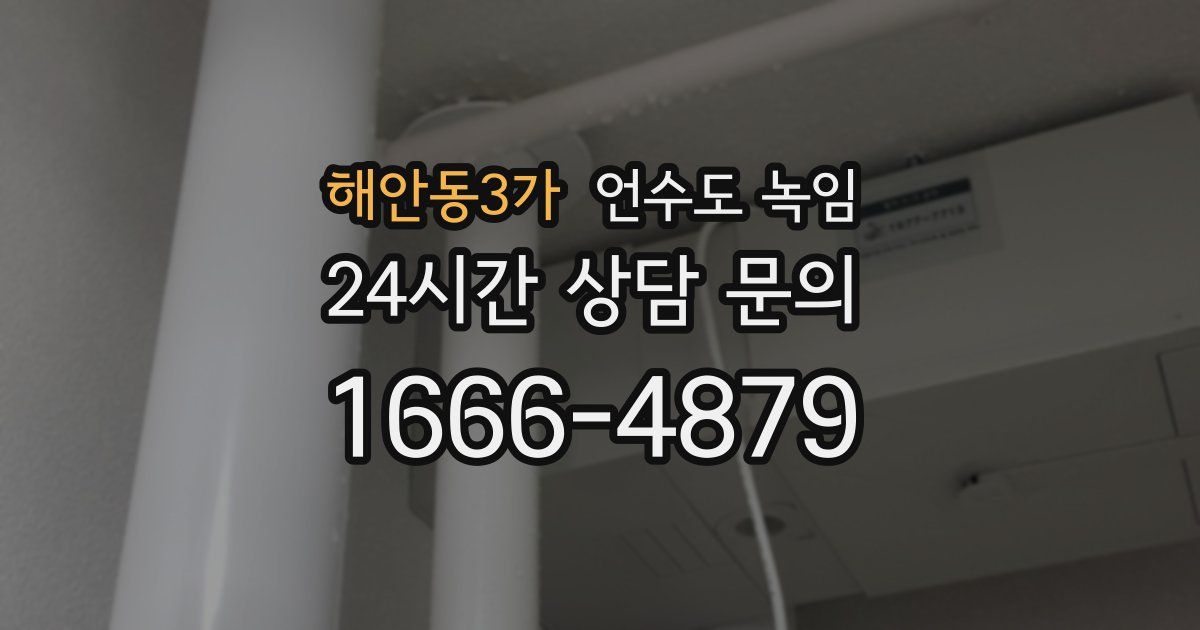 해안동3가 언수도 녹임