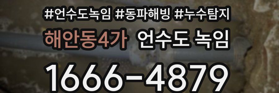 해안동4가 언수도 녹임