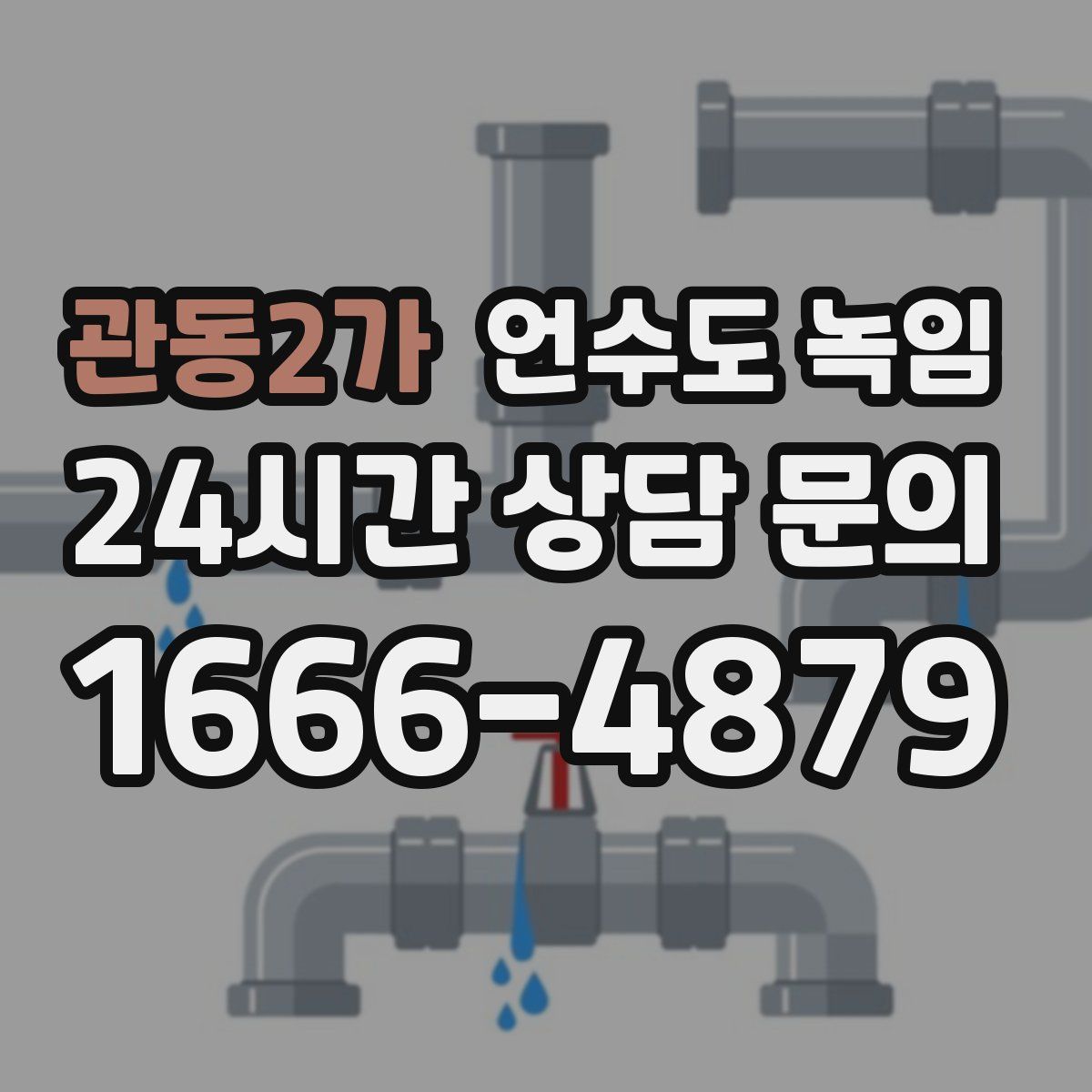 관동2가 언수도 녹임
