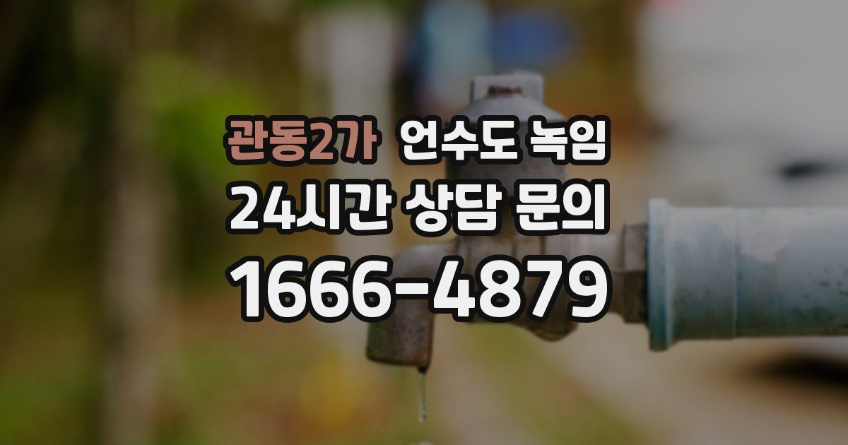 관동2가 언수도 녹임