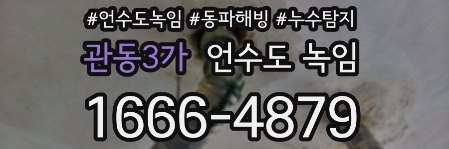 관동3가 언수도 녹임