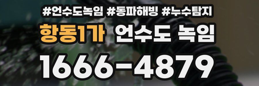 항동1가 언수도 녹임