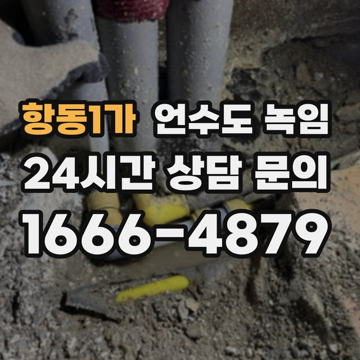 항동1가 언수도 녹임