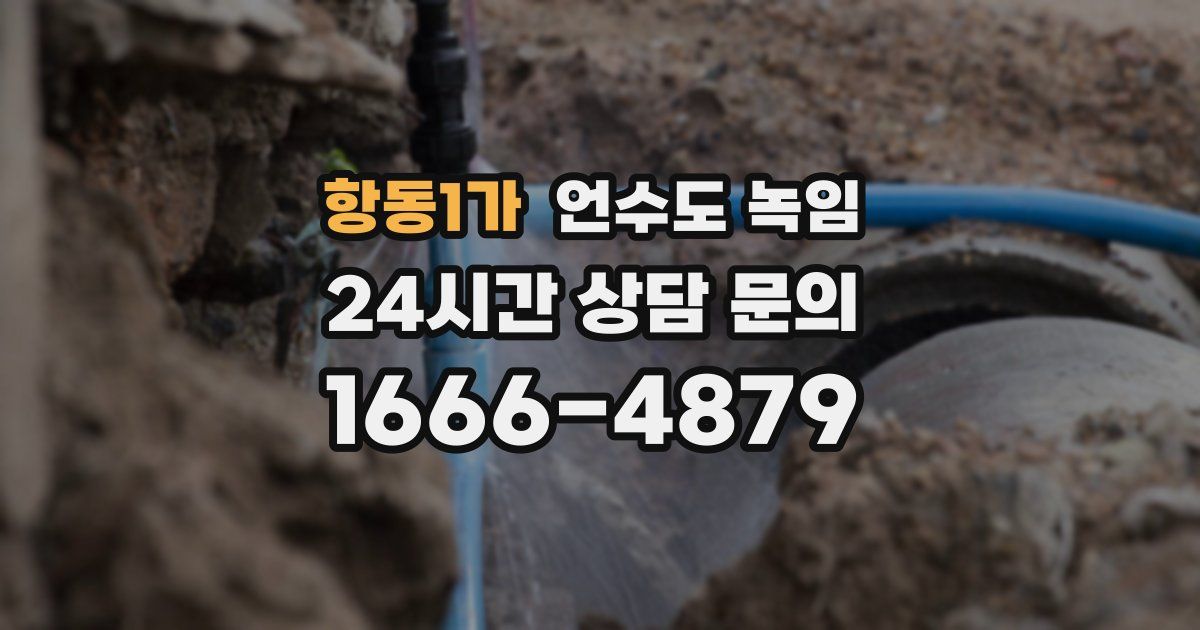 항동1가 언수도 녹임