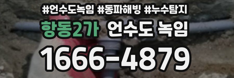 항동2가 언수도 녹임