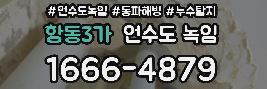 항동3가 언수도 녹임