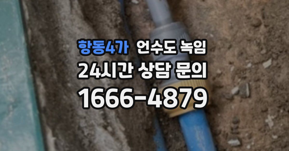 항동4가 언수도 녹임