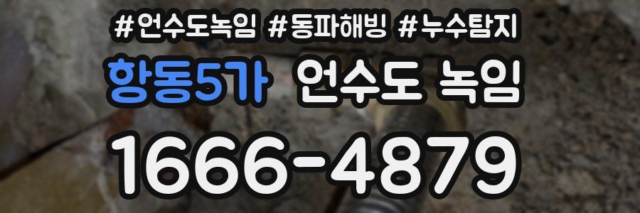 항동5가 언수도 녹임