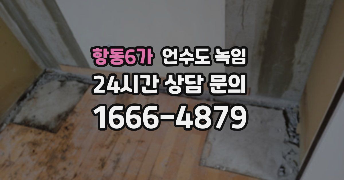 항동6가 언수도 녹임