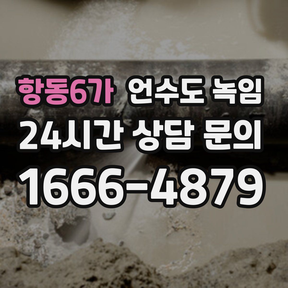 항동6가 언수도 녹임