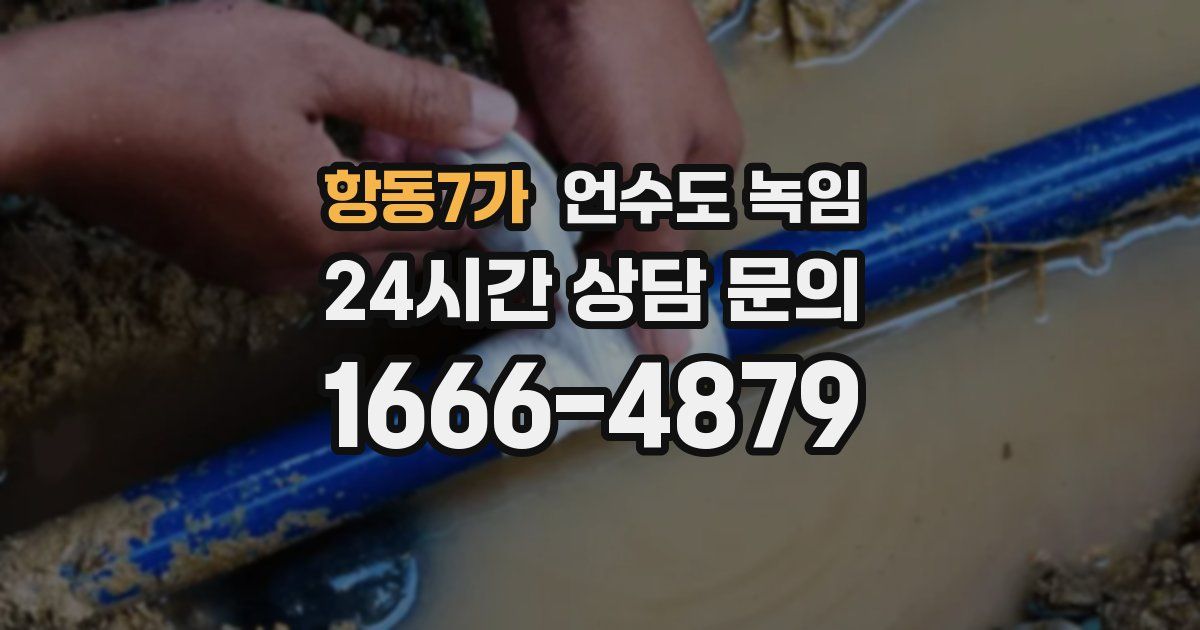 항동7가 언수도 녹임