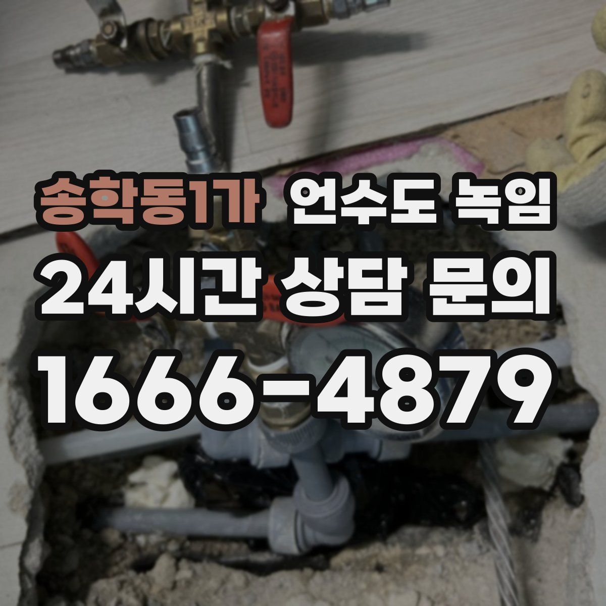 송학동1가 언수도 녹임