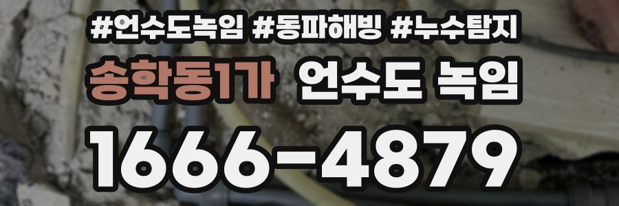 송학동1가 언수도 녹임