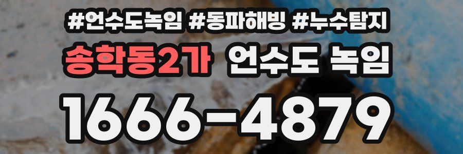 송학동2가 언수도 녹임