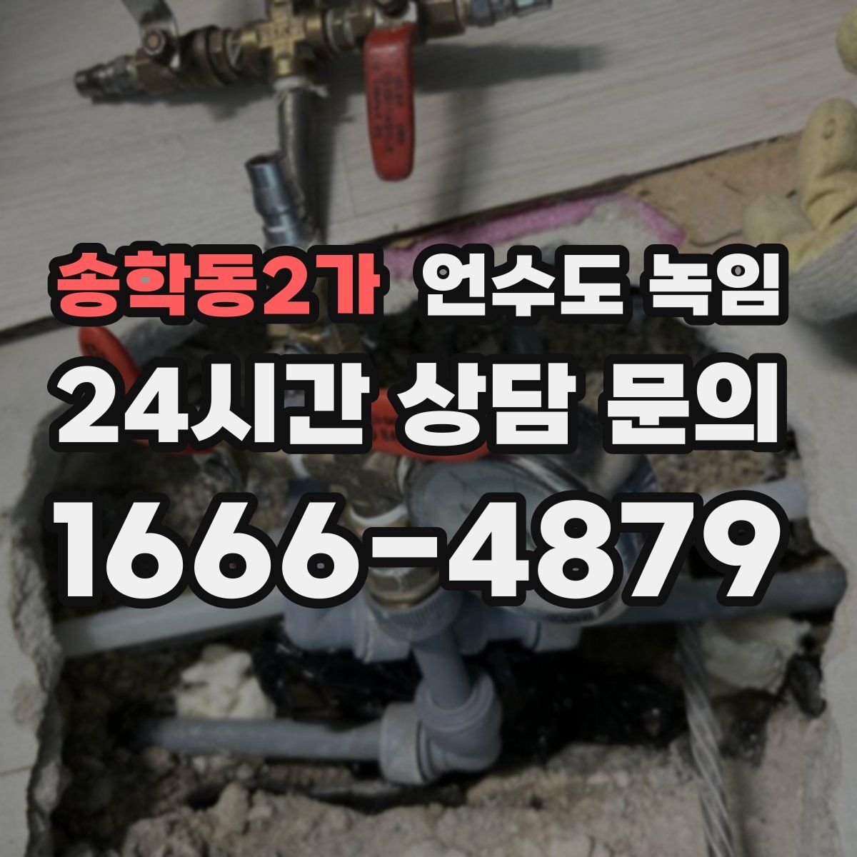 송학동2가 언수도 녹임