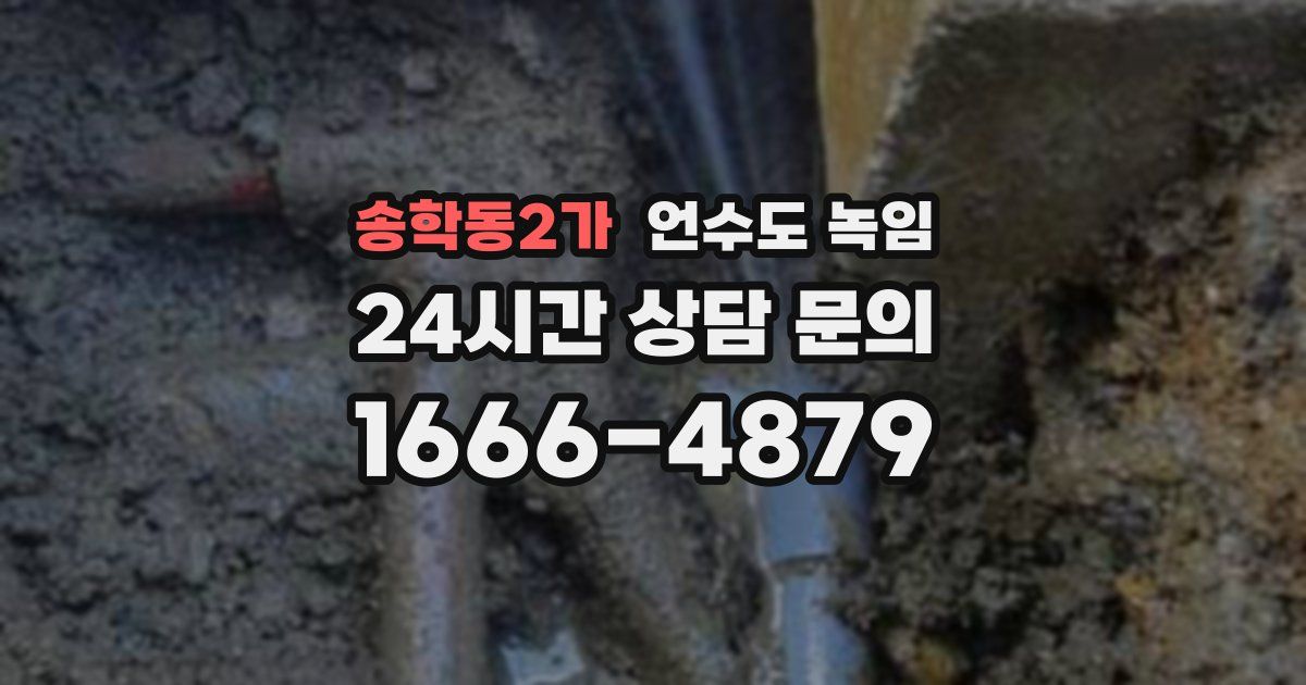 송학동2가 언수도 녹임