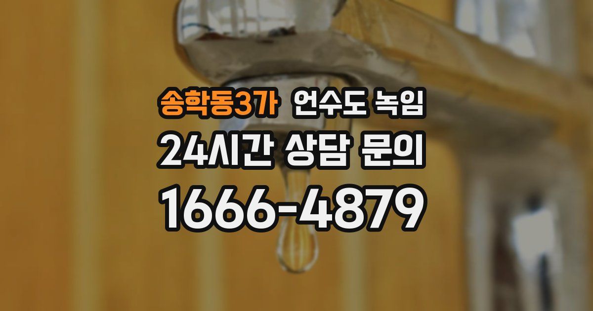 송학동3가 언수도 녹임