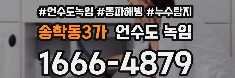 송학동3가 언수도 녹임