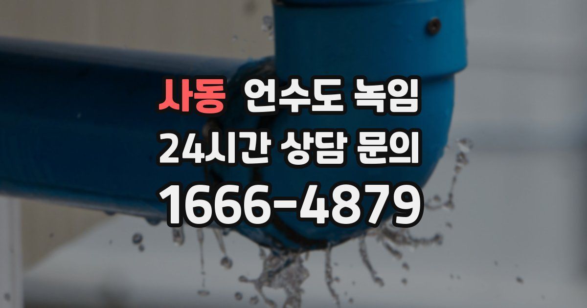 사동 언수도 녹임