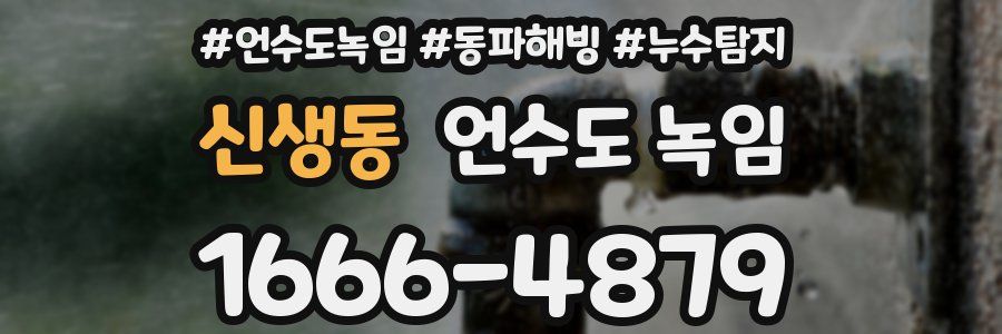 신생동 언수도 녹임