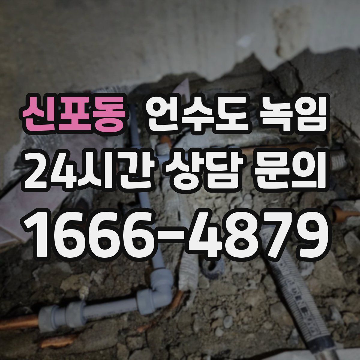 신포동 언수도 녹임