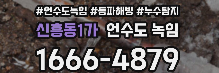 신흥동1가 언수도 녹임