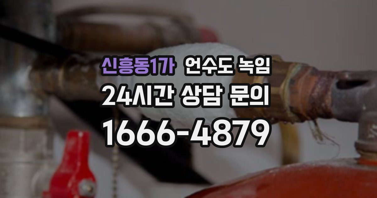 신흥동1가 언수도 녹임