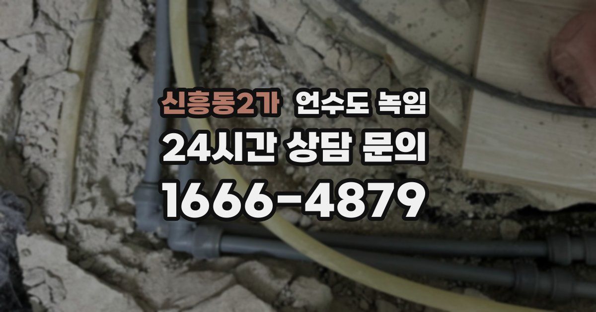 신흥동2가 언수도 녹임