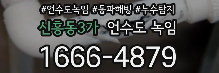 신흥동3가 언수도 녹임