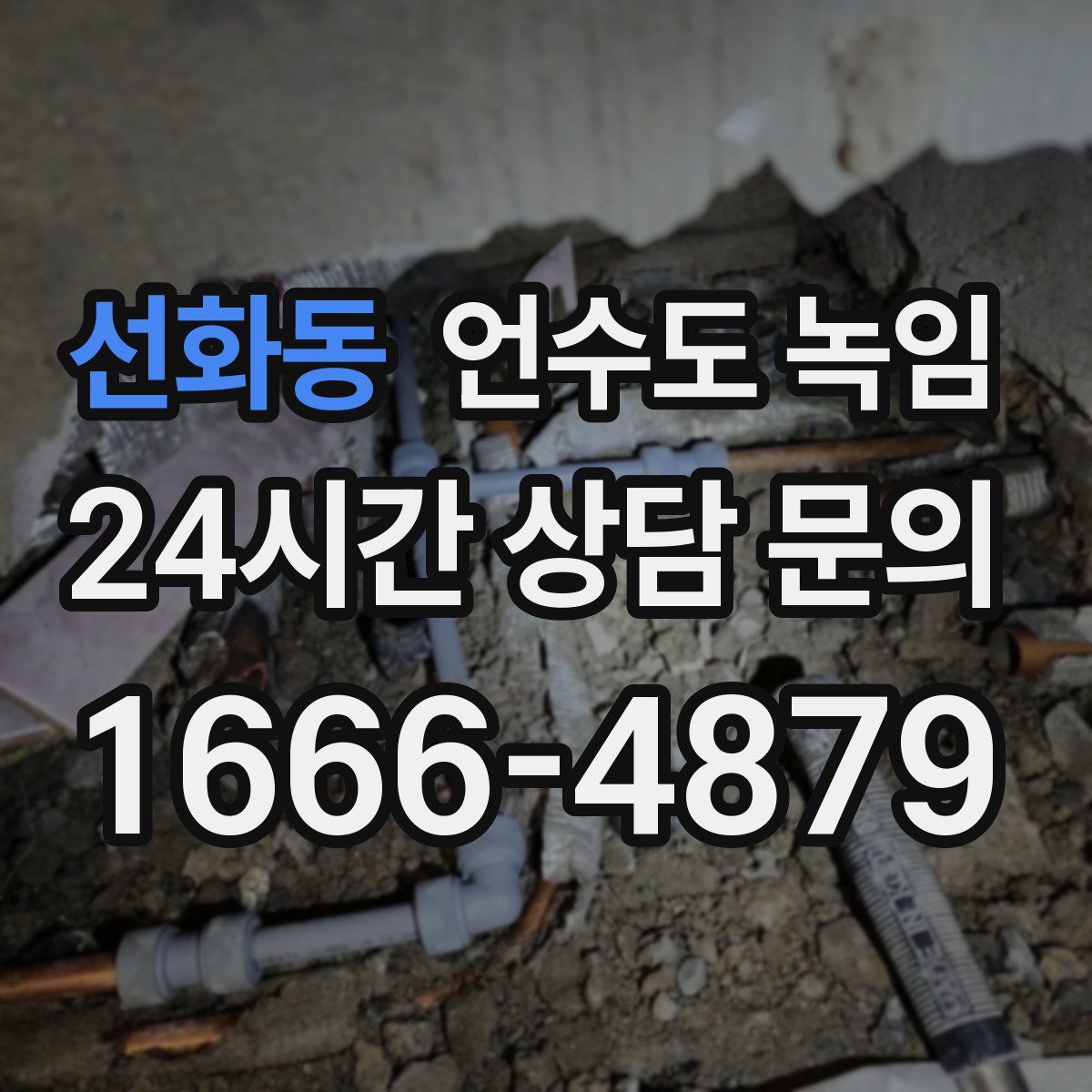 선화동 언수도 녹임