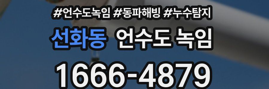 선화동 언수도 녹임