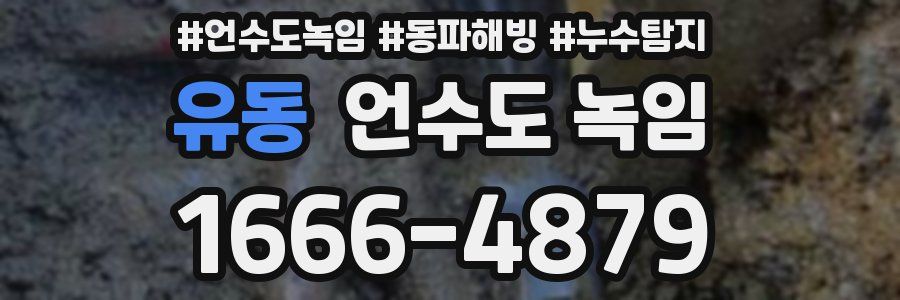 유동 언수도 녹임