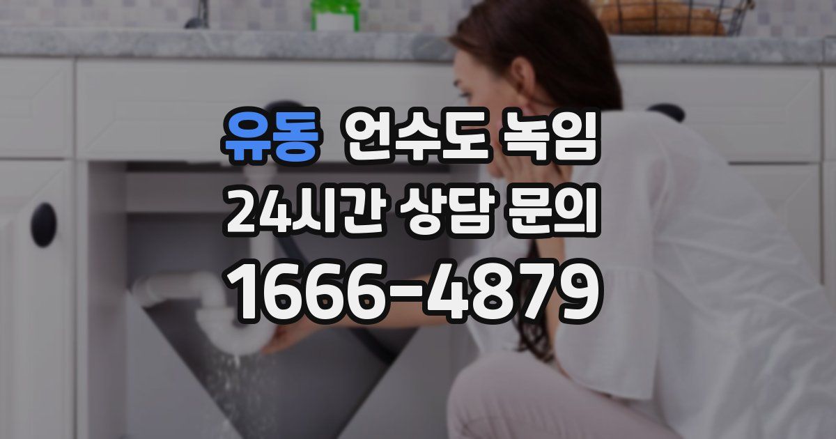 유동 언수도 녹임