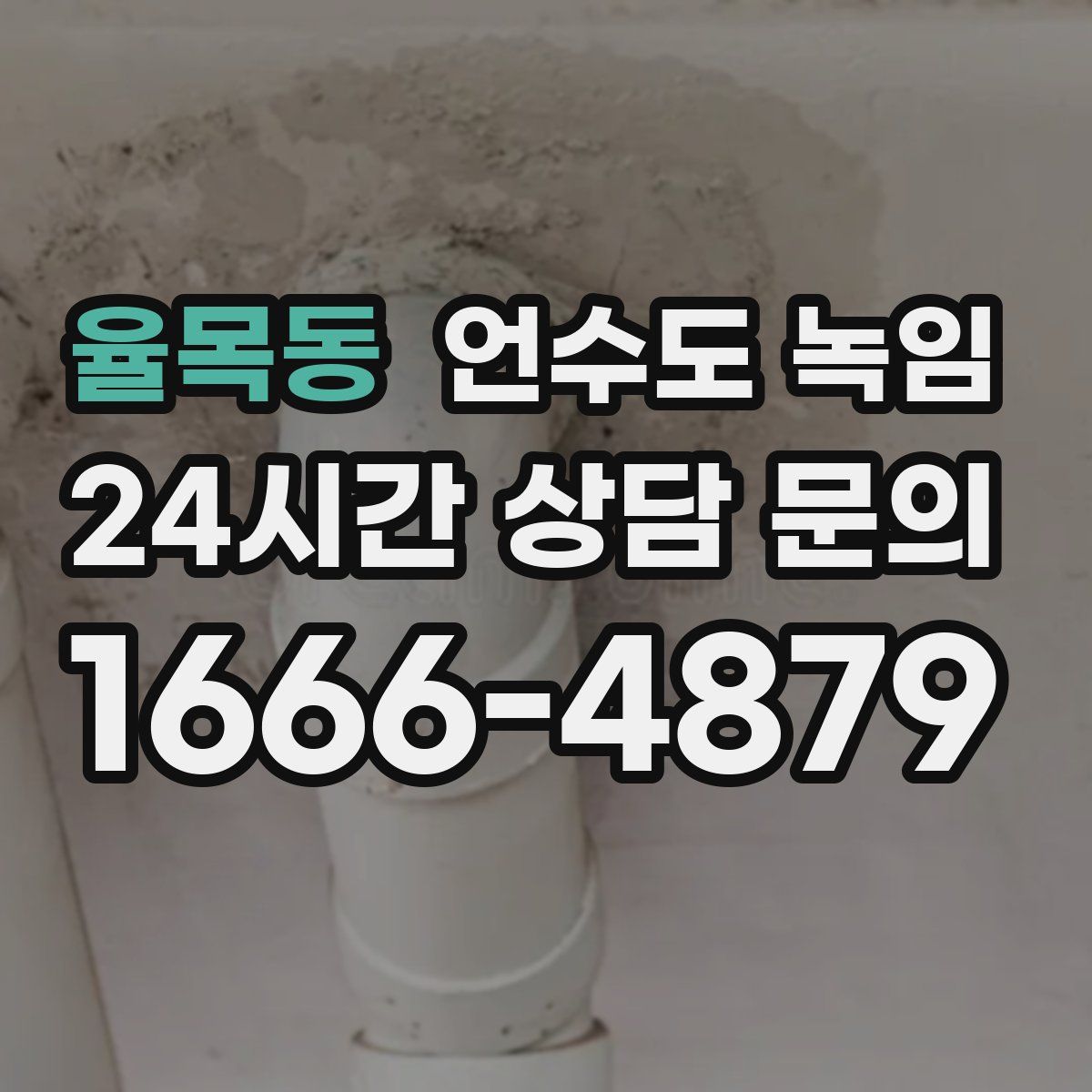 율목동 언수도 녹임