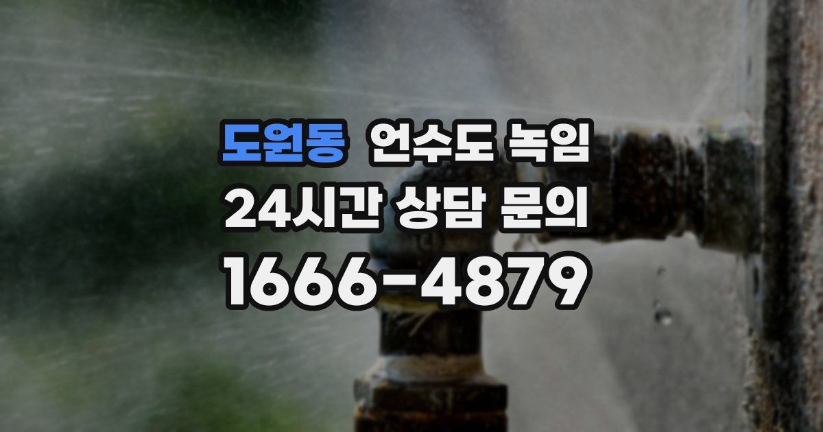 도원동 언수도 녹임