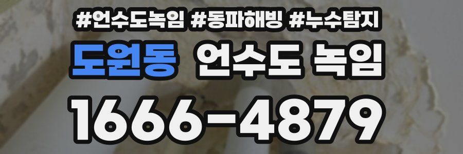 도원동 언수도 녹임