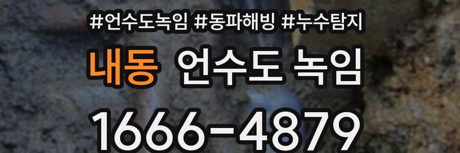 내동 언수도 녹임