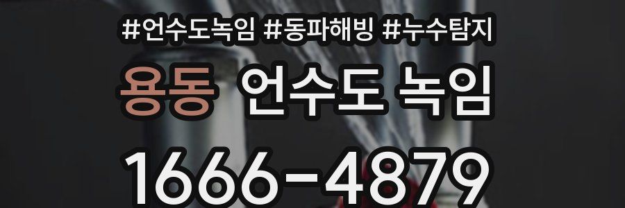 용동 언수도 녹임